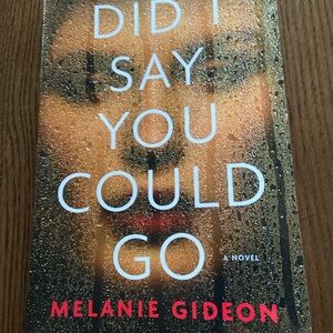 Did I say you could go- fiction paperback